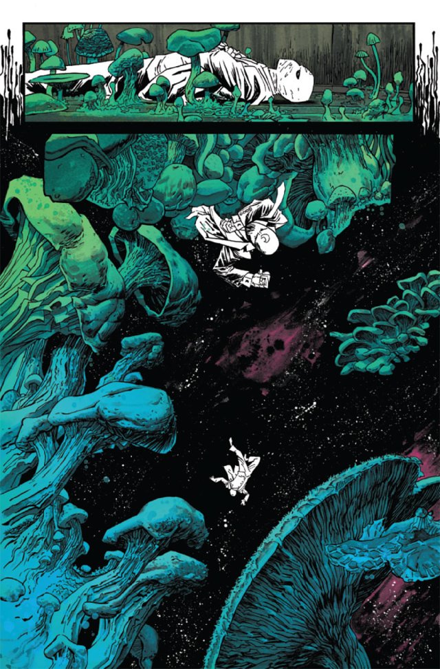 MOONKN2014004-int-LR2-3-d9772